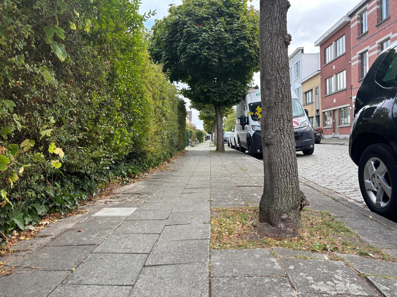 Foto van de te kleine boomspiegels in de Klaproosstraat.